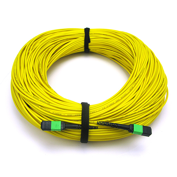 MPO-MPO Fiber Optic Cable 12 Fibers